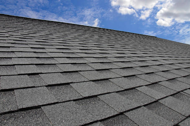 Best Roof Moss and Algae Removal  in Bayou La Batre, AL