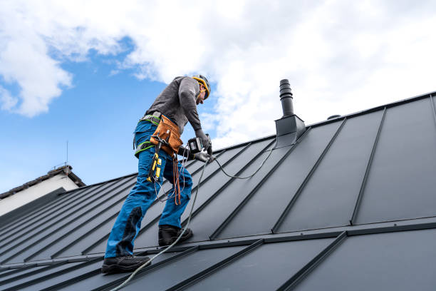 Best Asphalt Shingles Roofing  in Bayou La Batre, AL